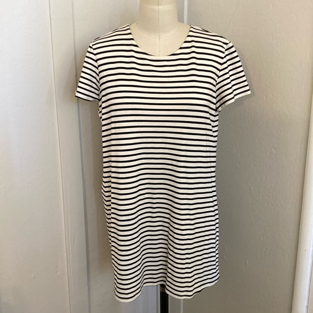 William b dress/tunic